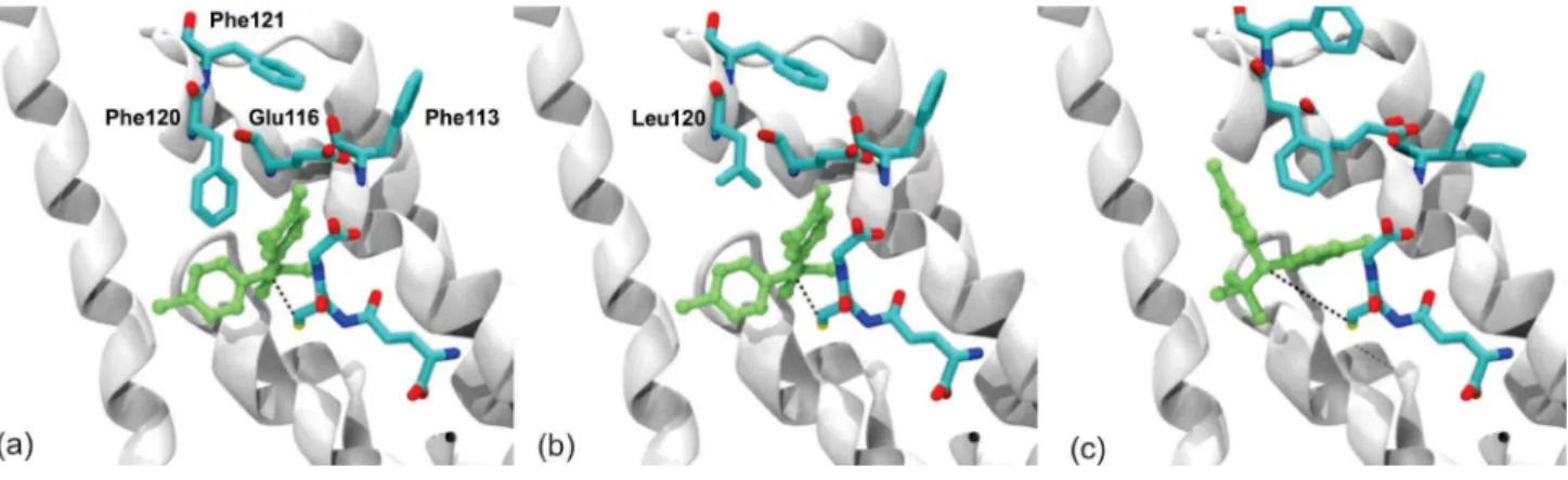 Figure 2. Predicted binding conformation of DDT to AgGSTE2 variants. (a,b) Atomic coordinates from X-ray structure 2IMI solved at 1.4 Å resolution; 