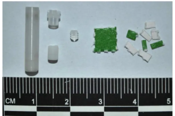 Figure 3. Zirconium rotor (50 µL) and accessories, along with the sample  of intact and fragmented blotter paper.