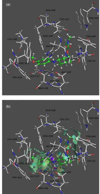 Figure 2. (a) Binding mode of 6c’ and BuChE. The compounds are  rendered in ball-and-stick models, and the residues are rendered in sticks