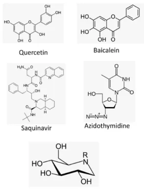 Figure 1. Chemical structures of products against dengue virus.