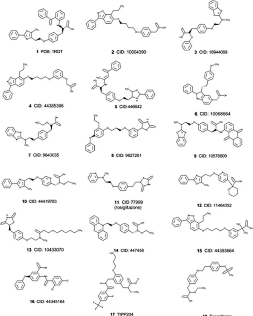 Figure 1. PPARγ ligands selected. PC CID code was described. The first molecule can be found in PPARγ receptor crystallography and was the pivot  molecule for docking and pharmacophore studies.