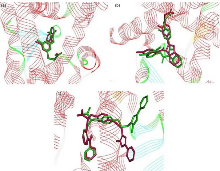 Figure 5. AutoDock validation of (a) PPARα (PDB 4BCR); (b) PPARδ (PDB 3OZ0); (c) PPARγ (PDB 1RDT) with respective crystallographic molecules