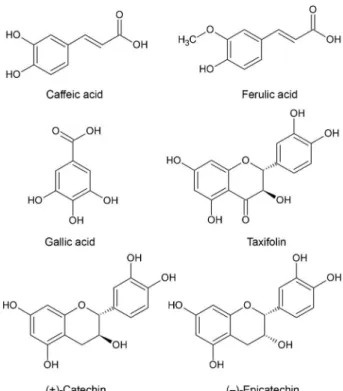 Figure 1. Chemical composition of the bark extract of P. pinaster.