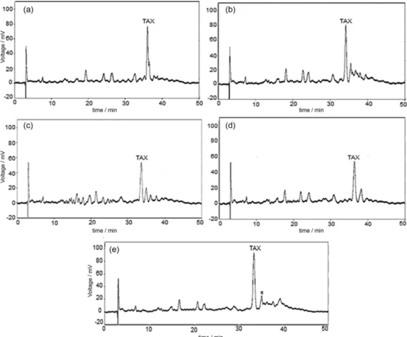 Figure 2. Representative chromatograms obtained from 3 3  Box-Behnken factorial design