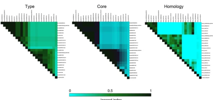 Figure 3. Overlapping Chr1 and Chr2 at three different levels of comparisons. Type, core and homology correlations are showed in Jaccard index scores
