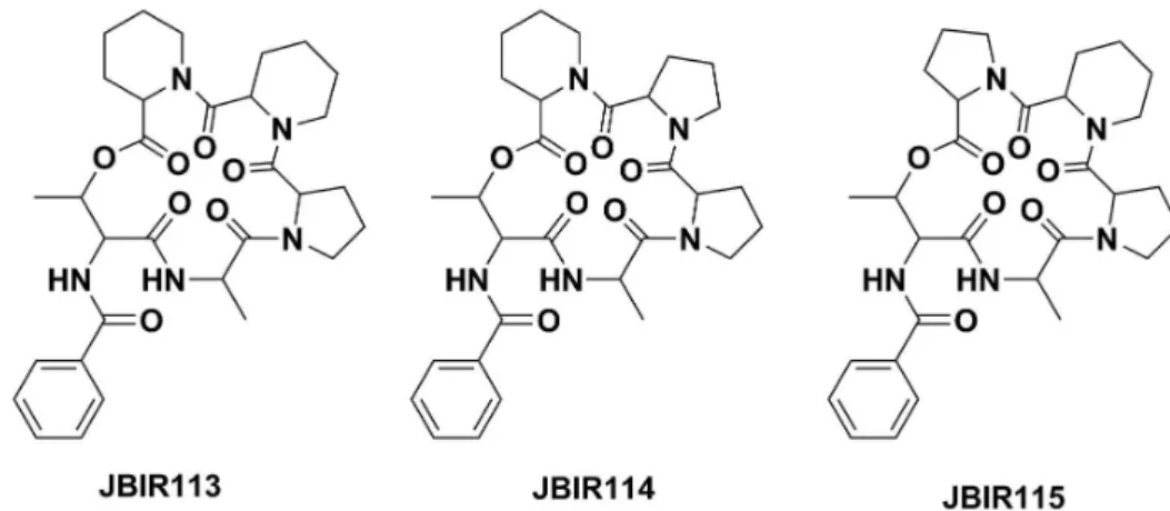 Figure 5. Chemical structures of the cyclodepsipeptides JBIR 113, JBIR 114 and JBIR 115 produced by P
