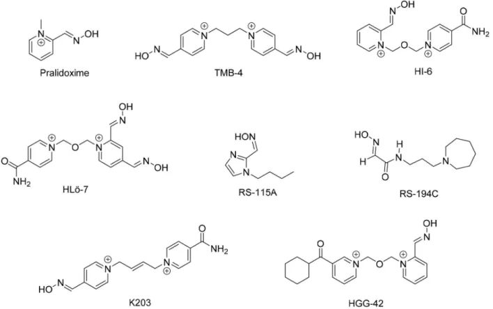 Figure 2. Structures of some oximes.