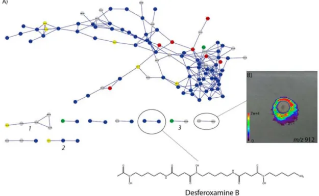 Figure 8. (A) Annotated molecular networking of orbitrap MS/MS fragmentation data acquisition from crude extract of Streptomyces A23 in 3 different  growth times: 40 h (red nodes), 60 h (green nodes) and 90 h (yellow nodes)