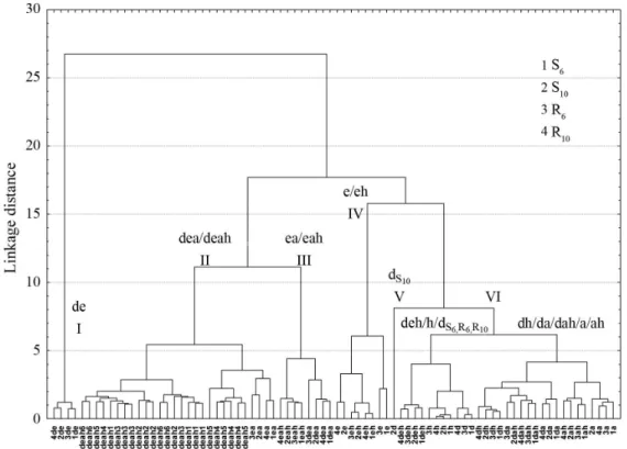 Figure 4. Dendrogram of the UV spectra of extracts obtained from green grains of C. arabica, cv