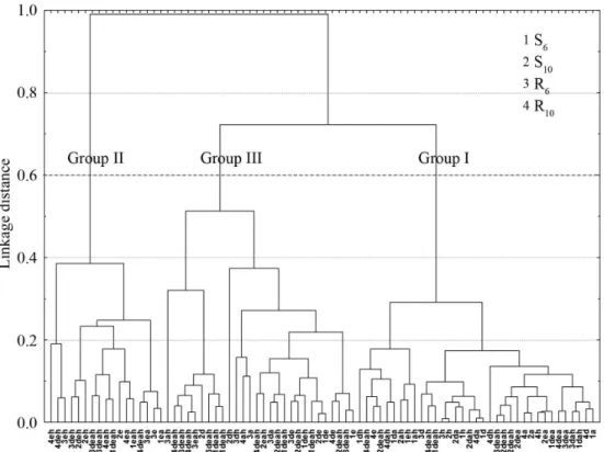 Figure 7. Dendrogram of the FTIR spectra of extracts obtained from green grains of C. arabica, cv