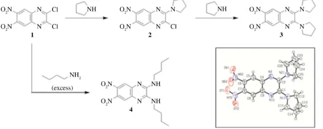 Figure 2. Synthetic strategy for obtainment of amino-nitroquinoxaline dyes 2 and 3. Inset: ORTEP illustration of compound 3 determined by X-ray  crystallography.