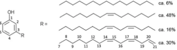 Figure 1. Schematic structure of cardanol.