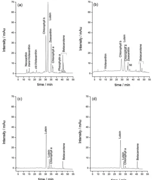 Figure 2. Chromatogram obtained by high performance liquid chromatography with diode array detection (HPLC-DAD) of dry biomass from  Desmodesmus sp