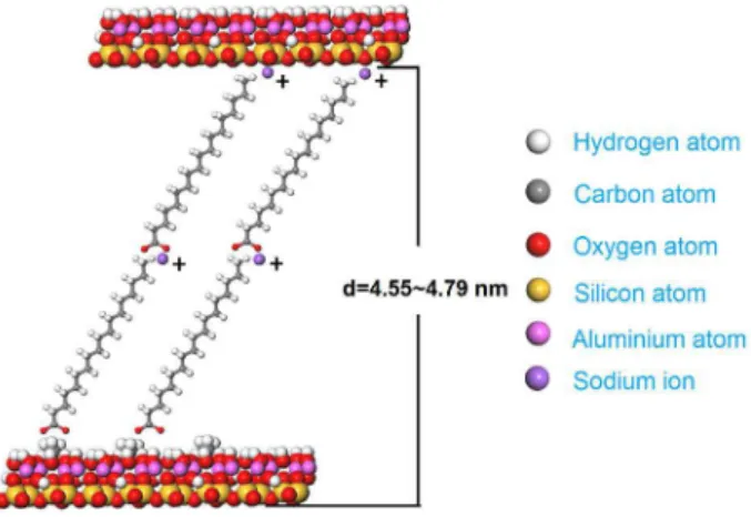 Figure 8. Possible structural model of Ka-methanol-sodium stearate  intercalation compound.
