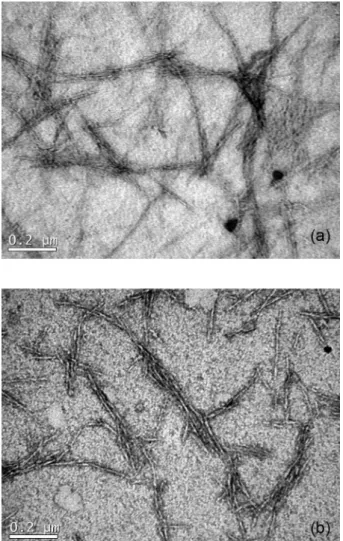 Figure 2. (a) Isotherms for the crystallization and (b) Avrami plots for the  neat PLA and the PLA/CNC nanocomposites with different compositions.