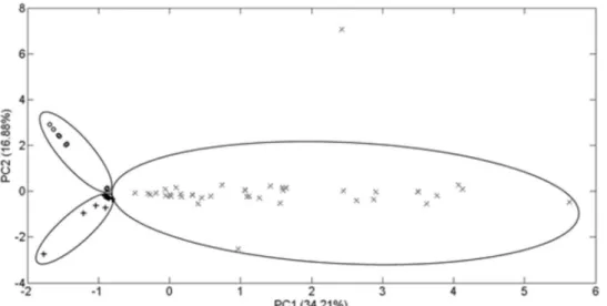 Figure 3. Score plot PC1 × PC2 using the concentration of polyphenols determined by the quantitative method