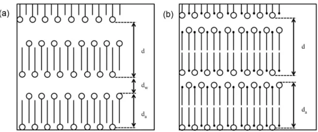 Figure 10. In (a) the schematic representation of the possible structure of alkali metal soap gel phases in water