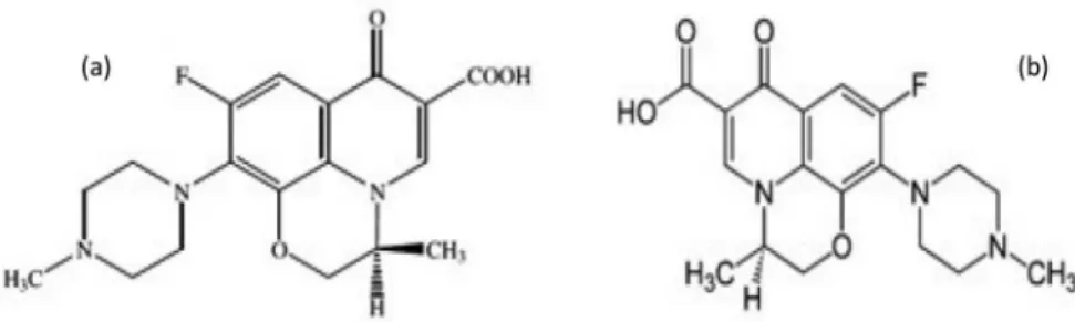 Figure 1. Levofloxacin (a) and (b) R-isomer of ofloxacin (chiral impurity of Levofloxacin).