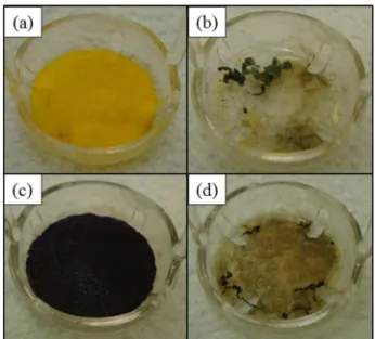 Table 3. Evaluation of ignition and combustion times of filter paper  (without sample) with the use of K 2 Cr 2 O 7  and KMnO 4  solutions as igniters