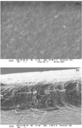 Figure 1. X-Ray diffraction patterns for SWy-1 clay and PHEMA/SWy-1  nanocomposites.