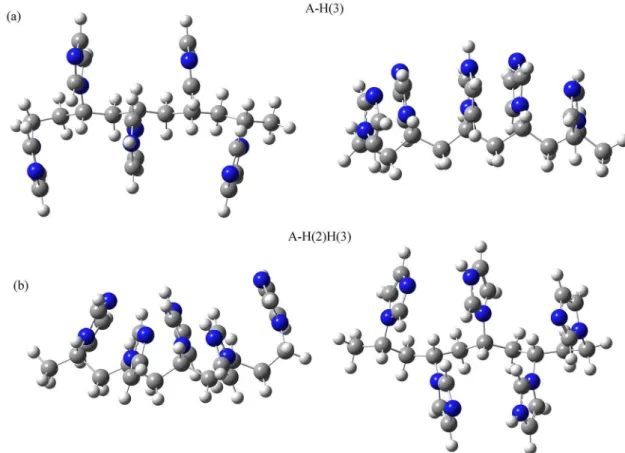Figure 7. Optimized structures of syndiotactic PVI pentamer with single (A-H(3)) in (a) and double (A-H(2)H(3)) protonation using B3LYP/6-31+g(d) in (b)