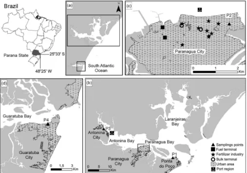 Figure 1. Location map of study area: (a) to the north, the PEC, and to the south, the GB; (b) PEC, with three sample points situated in the external sectors  (P1), middle (P2) and internal (P3); (c) city of Paranaguá, with the locations of the P2 point, f