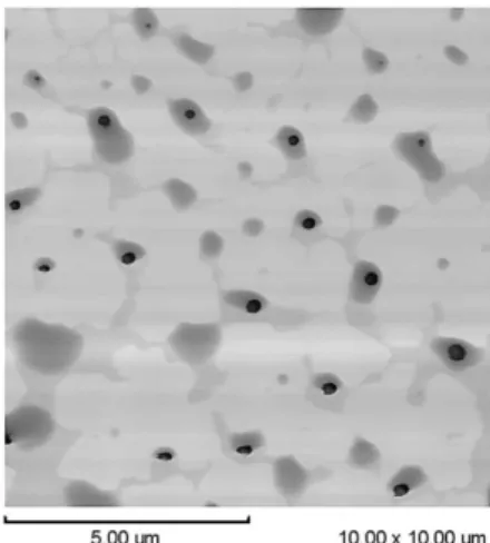 Figure 4. Rh nanoparticles detected by atomic force microscopy of the  IL.0.24.750 sample.