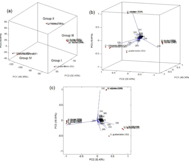 Figure 2. PCA score plot (a) and PCA biplots (b and c). 