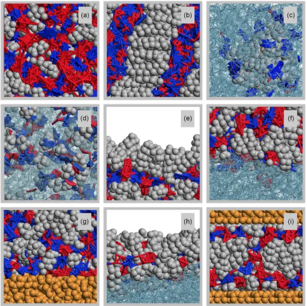 Figure 1. Simulation snapshots depicting different types of structural/boundary features discussed in this work