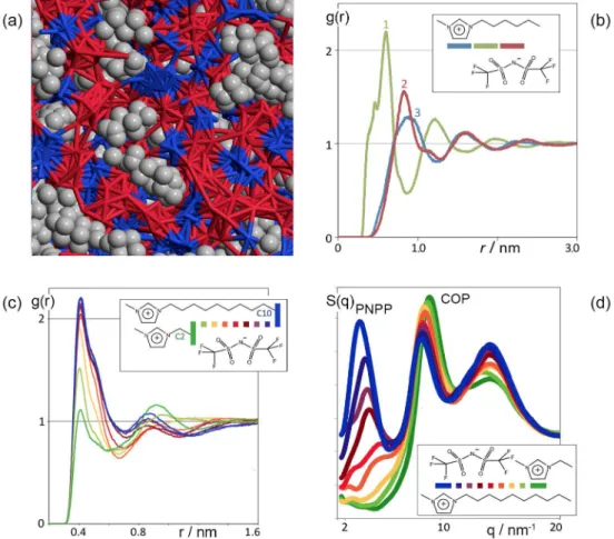 Figure 2. Dual structuration of a pure IL in the bulk phase. (a) MD simulation snapshot of 1-hexyl-3-methylimidazolium bis-(trifluoromethylsulfonyl) imide, [C 6 C 1 im][Ntf 2 ]; (b) pair radial distribution functions, g(r), between selected interaction cen