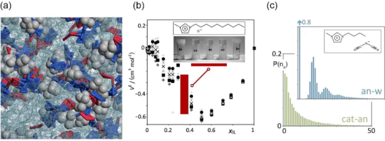 Figure 5. IL strands in aqueous solution. (a) MD simulation of an aqueous solution of 1-butyl-3-methylimidazolium dicyanamide, [C 4 C 1 im][N(CN) 2 ] with  0.021 IL mole fraction; (b) volumetric results (excess molar volume data) on aqueous solutions of 1-