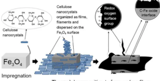 Figure 1. Schematic representation of the preparation of carbon structures  by the impregnation and assembling of cellulose nanocrystals in Fe 3 O 4 particles followed by thermal decomposition.