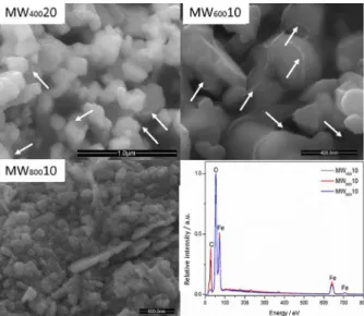Figure 5. XRD for the samples Mt, and the composites MW 600 1, MW 400 10,  MW 600 10, MW 800 10 and MW 600 20.