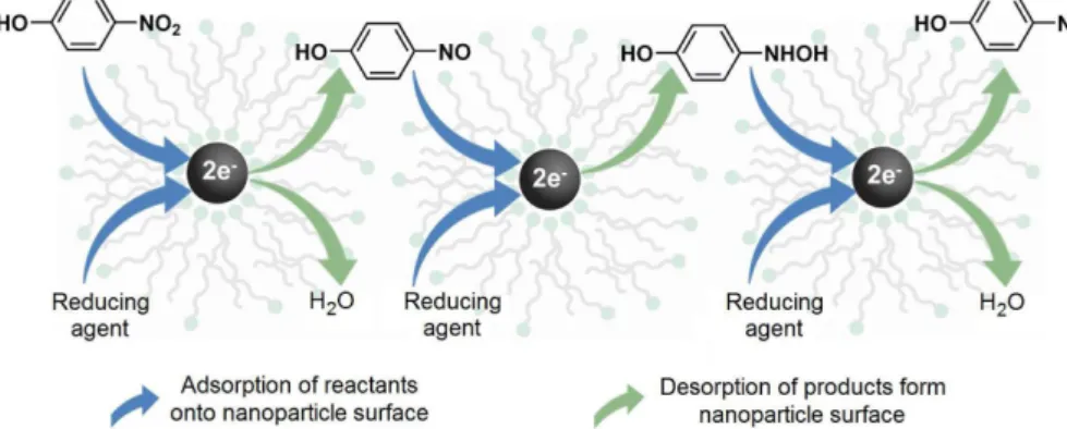 Figure 4. Cartoon model describing the reduction of 4-nitrophenol and intermediates on the nanoparticle surface.