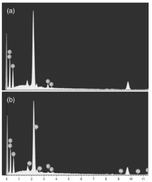Figure 4. Effect of initial pH of the solution on the biosorption of Pb II by pequi shells.