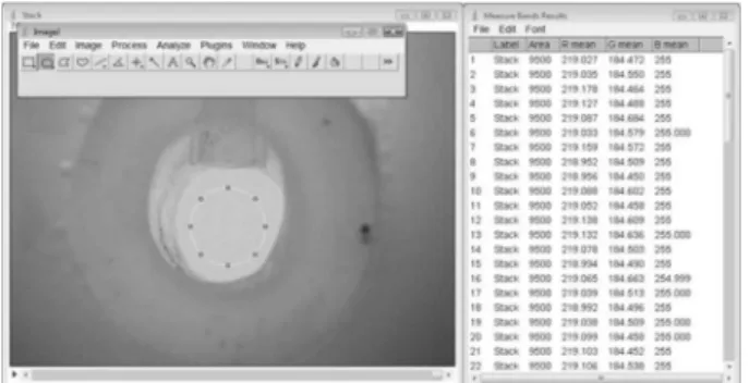 Figure 2. Image acquisition of flow cell and area selected in ImageJ.