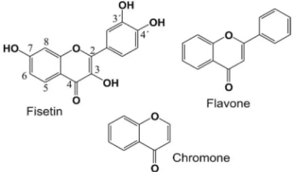 Figure 1) with β-CD in acid and basic aqueous solutions  by means of steady-state fluorescence, ultraviolet-visible  (UV-Vis) absorption, induced circular dichroism (ICD) signal,  proton nuclear magnetic resonance ( 1 H NMR) measurements,  and quantum-mech
