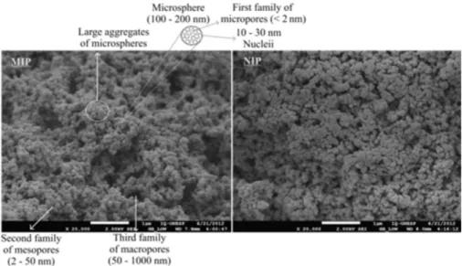 Figure 3 shows the SEM images of polymers synthesized  with acrylic acid as monomer. As observed, both MIP and  NIP revealed a rough surface with aggregated particles in  the shape of microspheres