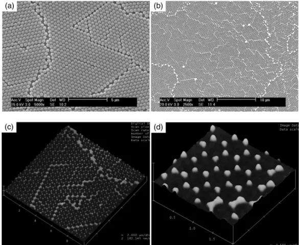 Figure 1. SEM images of (a) the mask and (b) islands of Au after removal of the polystyrene (PS) mask