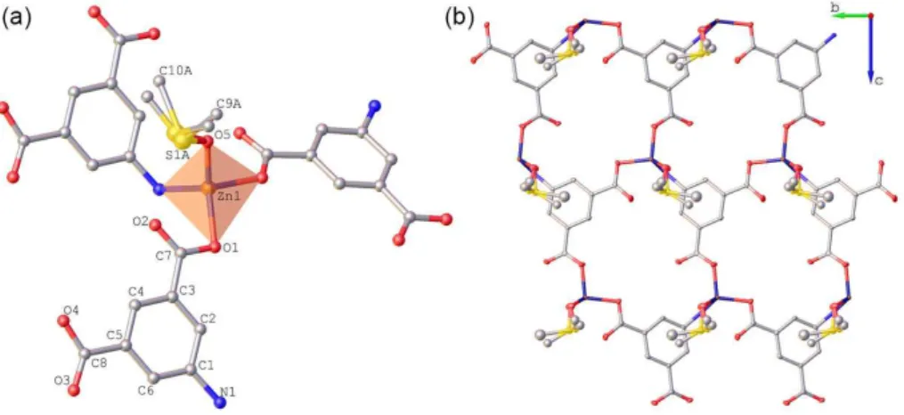 Figure 3. Ellipsoid representation of compound 1 with atomic labeling: (a) the asymmetric unit, tetrahedral environment of the metal and (b) two-dimensional  network