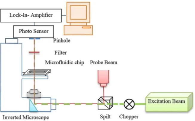 Figure 3. Schematic diagram of the experimental setup.