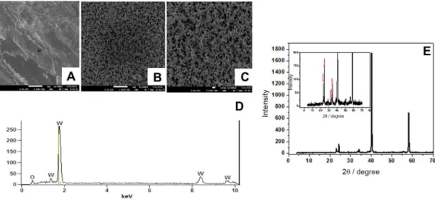 Figure 1. FEM-SEM images of tungsten foil (A) and W/WO 3  prepared by electrochemical anodization of W in NaF 0.15 mol L -1  after 2 h at 60 V ampliied  20,000 times (B) and 40,000 times (C)