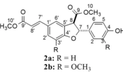 Figure 1. Structures of dihydrobenzofuran neolignans 2a and 2b.