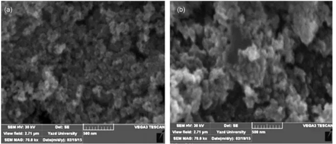 Figure 2. FTIR spectra of (a) MNPs; (b) ionic liquid; (c) MNPs coated  with IL.