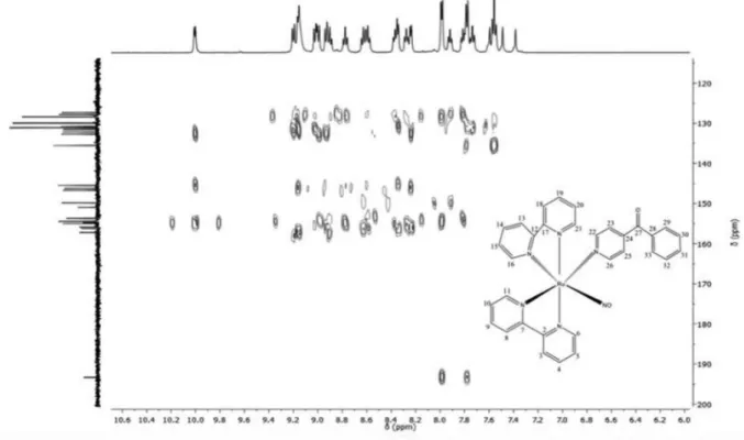 Figure 3. HMBC spectrum of cis-[Ru(bpy) 2 (4-bzpy)(NO)] 3+  in CD 3 COCD 3 . Inset: numbered structure for the cis-[Ru(bpy) 2 (4-bzpy)(NO)] 3+  (compound II).