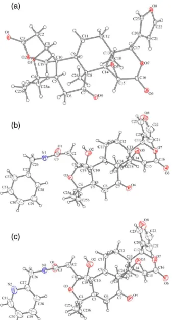 Figure 3. ORTEP plot of limonin-7-oxime (4).