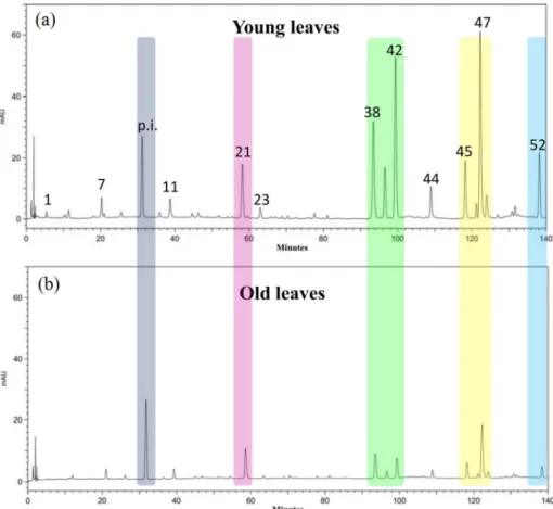 Figure 1. Chromatograms (270 nm) illustrating the quantitative variation of secondary metabolites between (a) young and (b) old leaves from the same  branch of the individual 2-IV