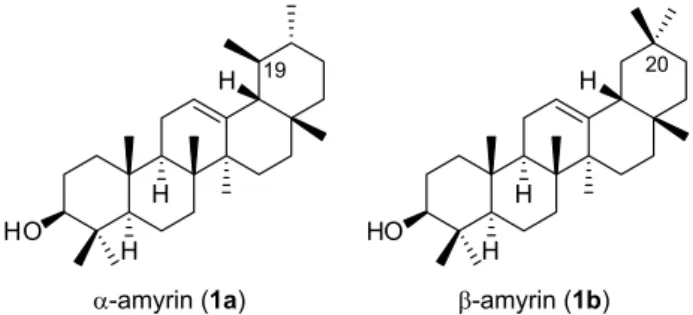 Figure 1. The structures of α- and β-amyrins.