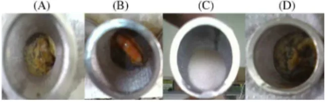 Figure 2. Waste products (A, B, C and D) of the basket dissolutor observed  after 90 min of dissolution.