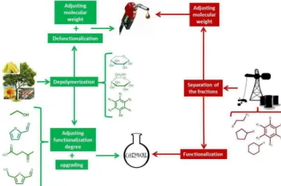 Figure 4. Comparison between the production of chemicals and fuels from petroleum and lignocellulosic biomass.